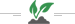 mridula